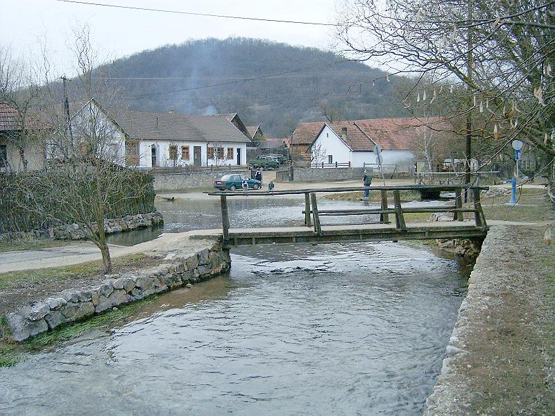 2010.03.20 106.jpg